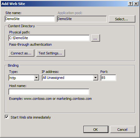 Leave the Host name box blank, unless you want to configure a Domain Name System (DNS) record for the website, and then click OK.