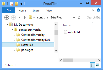 ExtraFiles folder