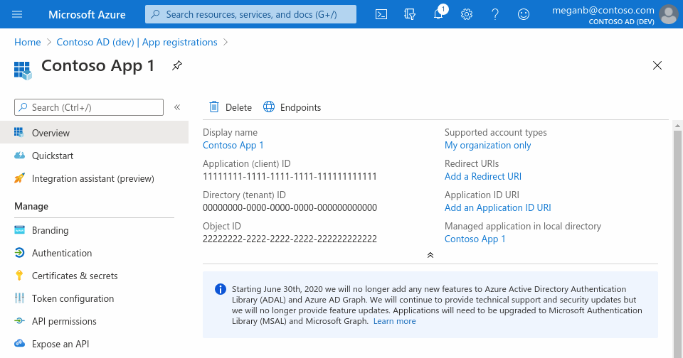 アプリケーションの概要ペインが示されている、Web ブラウザーでの Azure portal のスクリーンショット。