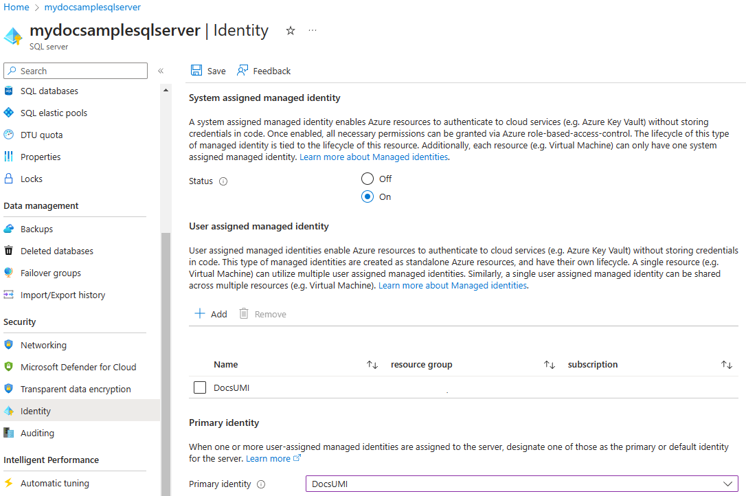 Azure portal の [ID] メニューのスクリーンショット。プライマリ ID が選択されています。