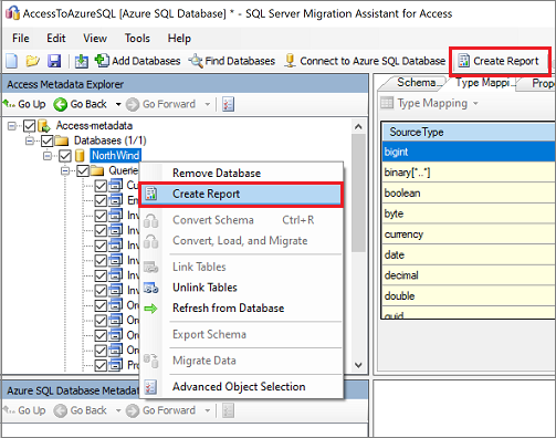 Access Metadata Explorer の [レポートの作成] コマンドのスクリーンショット。