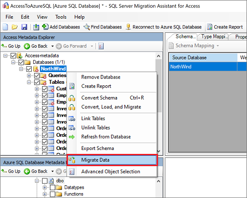 [Access Metadata Explorer] ペインの [データの移行] コマンドのスクリーンショット。