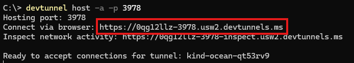 devtunnel の成功