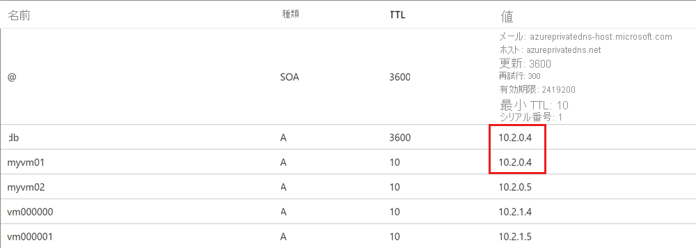 自動登録された DNS レコードのスクリーンショット。