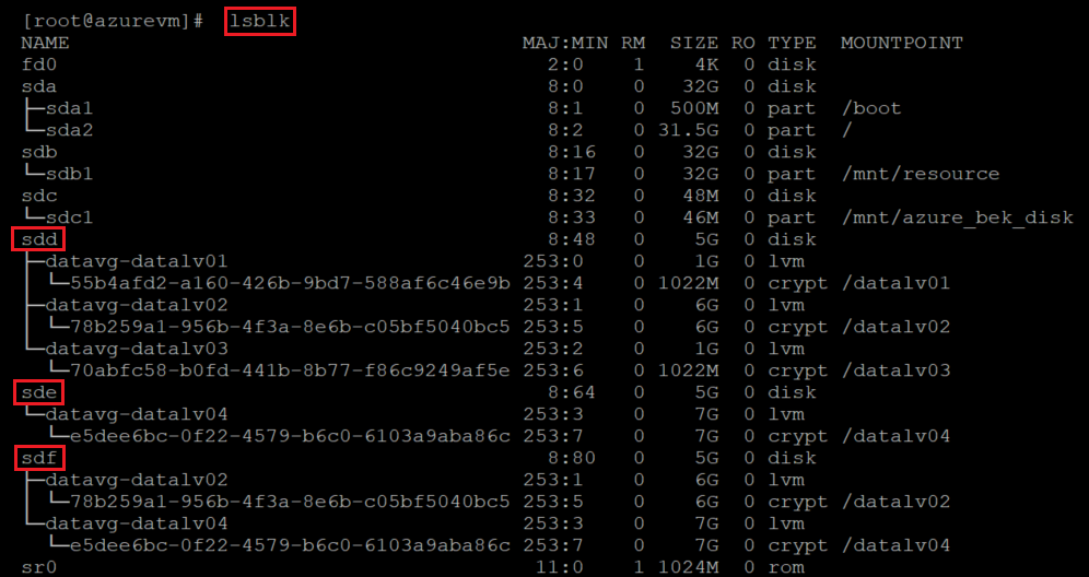 lsblk の出力を確認するコードを示すスクリーンショット。コマンドと結果が強調表示されています。