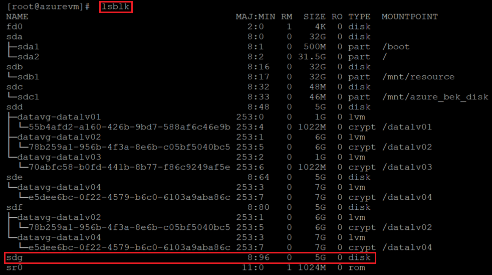 lsblk を使用してディスク リストを確認するコードを示すスクリーンショット。コマンドと結果が強調表示されています。