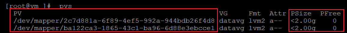 物理ボリュームに関する情報を確認するコードを示すスクリーンショット。結果が強調表示されています。