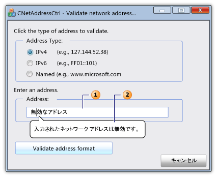 ネットワーク アドレス コントロールとヒントを含むダイアログ。