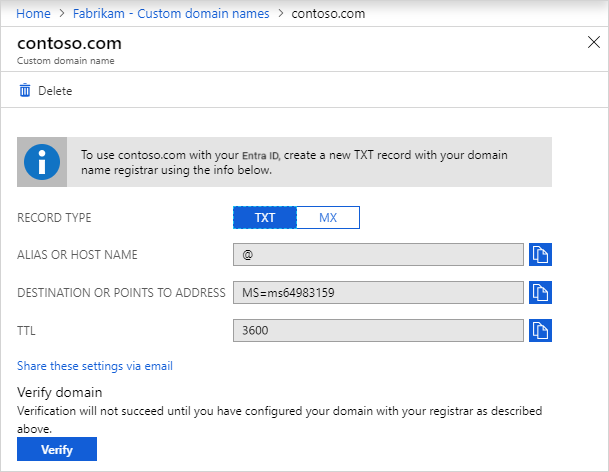 DNS エントリ情報を含む [Contoso] ページのスクリーンショット。