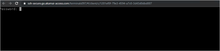 ssh-secure-go.akamai-access.com のコマンド ウィンドウのスクリーンショット。[Password]\(パスワード\) プロンプトが表示されている。