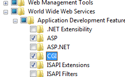 インターネット インフォメーション サービス ナビゲーション ツリーのスクリーンショット。アプリケーション開発機能が拡張されました。C G I が選択され、強調表示されます。