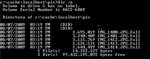 スクリーンショットには、いくつかのファイルが表示されたコマンド プロンプト ウィンドウが示されています。