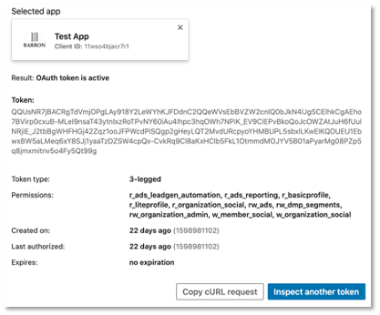 Developer Portal Token Inspector Results