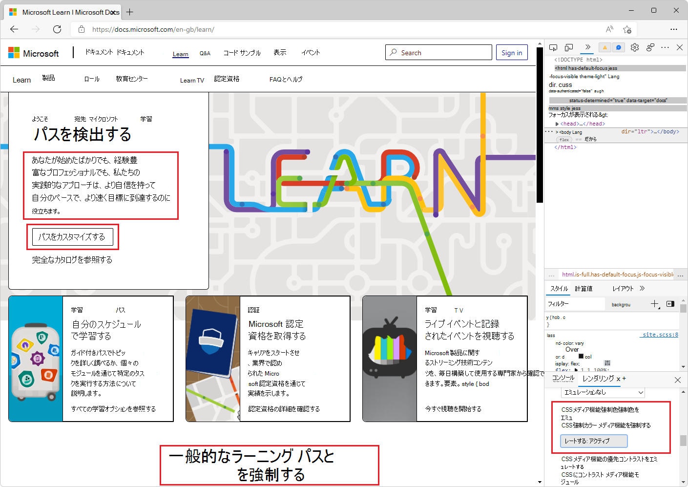 レンダリング ツールで強制色エミュレーションが有効になっている Web ページ。白い背景の黒いテキストに変更されたテキスト