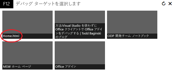 IEChooser 画面。Internet Explorer と Trident の複数のプロセスが一覧表示されています。1 つは Home.html という名前です。