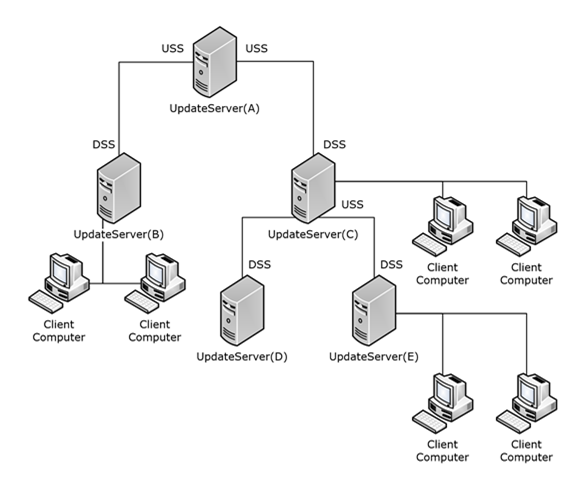 Typical hierarchical topology of update servers and client computers