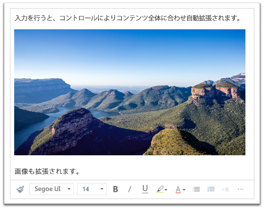 リッチ テキスト領域に入力するか、画像を貼り付けすると、コンテンツに合わせて拡大されることを示すスクリーンショット。