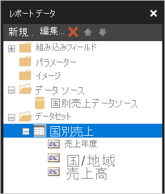 [レポート データ] ペインの [データセット] のスクリーンショット。