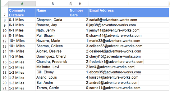 Excel にエクスポートされたフラット化されたレポートのスクリーンショット。