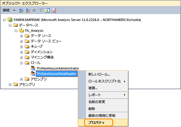 TFS_Analysis データのリーダー ロールのプロパティを開く