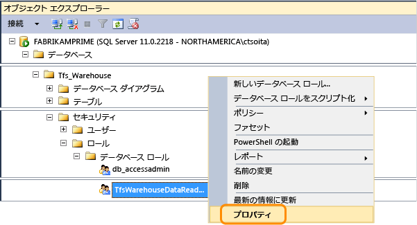 TFS_Warehouse データのリーダー ロールのプロパティを開く