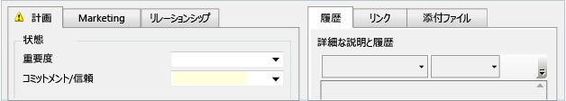 6 つのタブがある 2 つのグループが表示されたカスタム フォーム