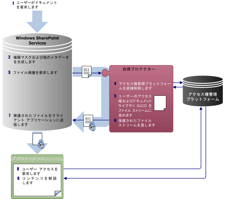 要求後の統合 IRM プロテクターの手順