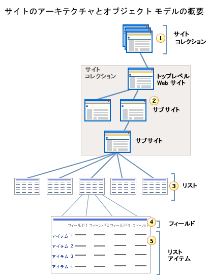 サイト アーキテクチャ