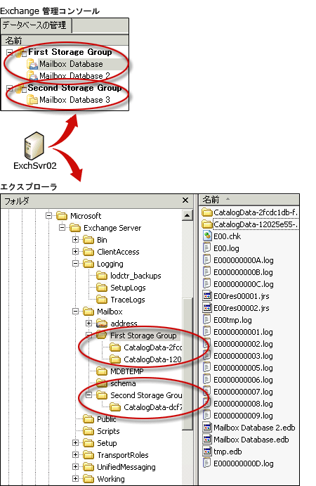 Exchange 2007 のストレージ グループとファイル