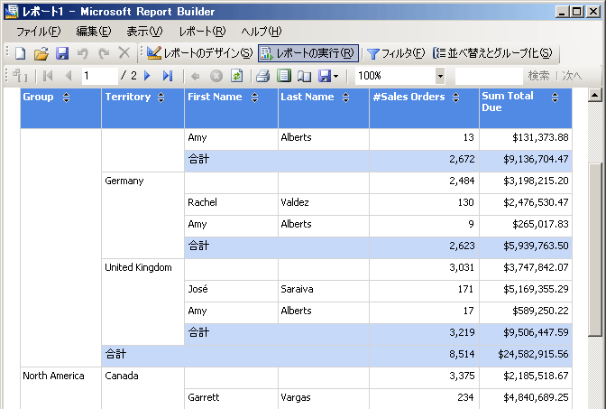 表示されたレポート ビルダのレポート。