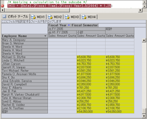 2005 年度 (会計年度) を示す [データ] ペイン