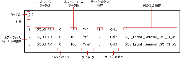 myTestSkipCol 用の既定の非 XML 形式ファイル