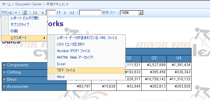 レポート ビューア Web パーツ