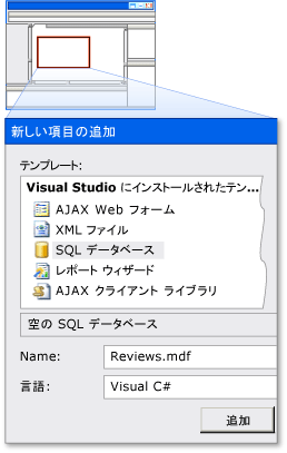 Reviews.mdf という名前の SQL データベース項目の追加