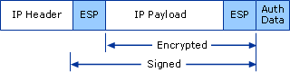 ESP Transport Mode Packet Structure