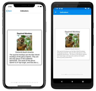 iOS と Android での CarouselView と IndicatorView のスクリーンショット