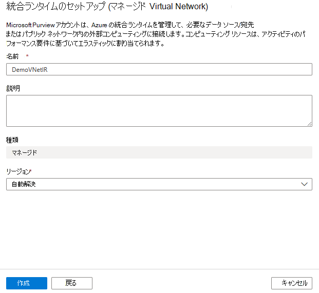 詳細を含むマネージド VNet Integration Runtimeの作成を示すスクリーンショット