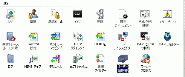 IIS のサーバー証明書オプション