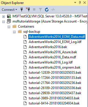 SQL Server Management Studio の Azure コンテナーのストレージ ブラウザーのスクリーンショット。新しいデータベースのデータ ファイルとログ ファイルが表示されています。