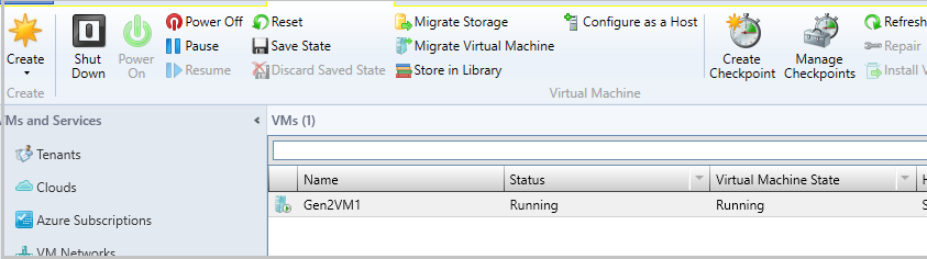 実行中のホスト VM のスクリーンショット。