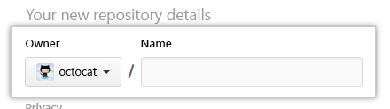 Screenshot of the new import repository owner name.