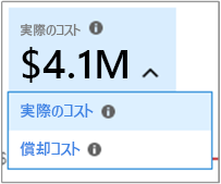 Screenshot showing actual cost and amortized cost selection.