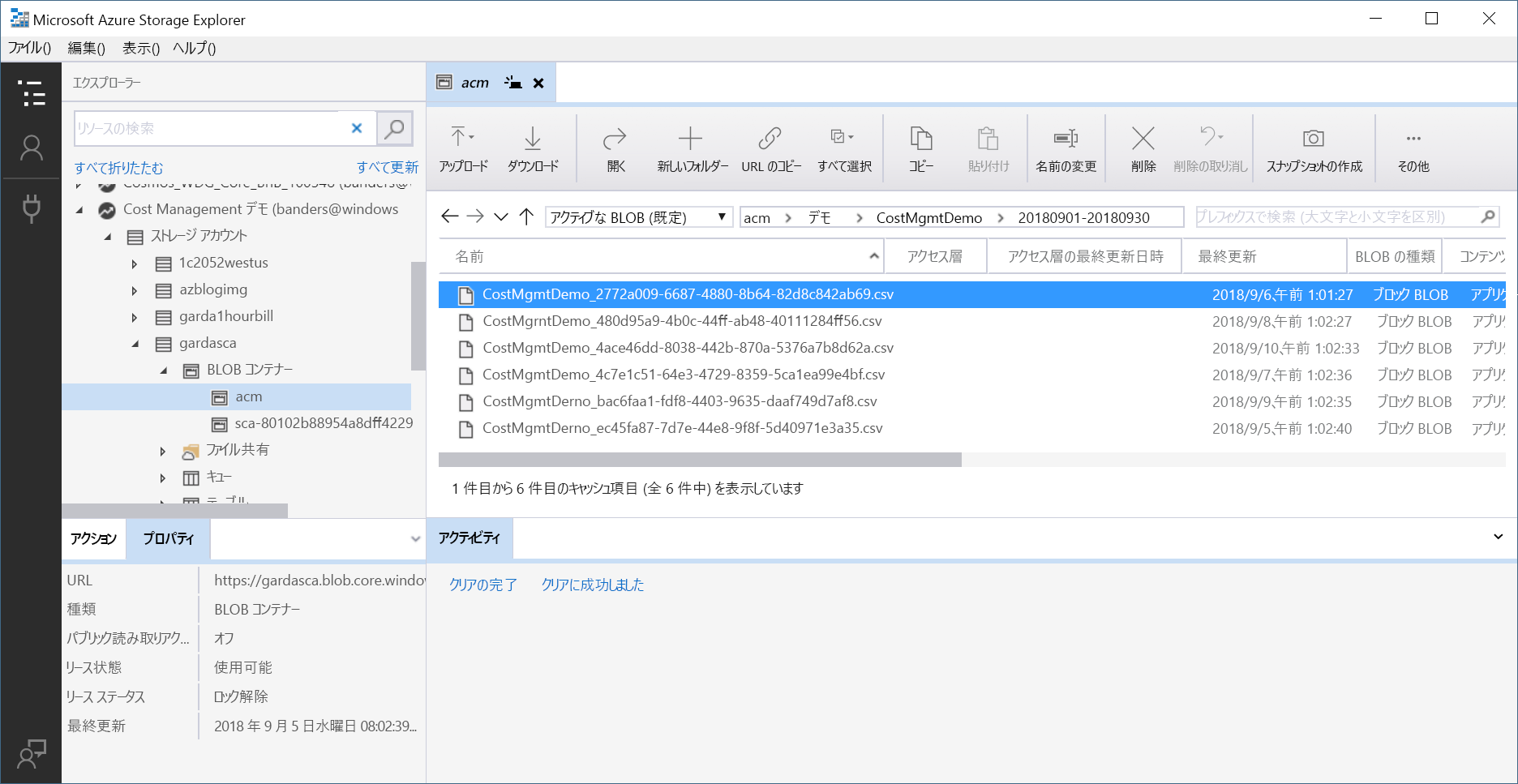 Screenshot of example information shown in Storage Explorer.