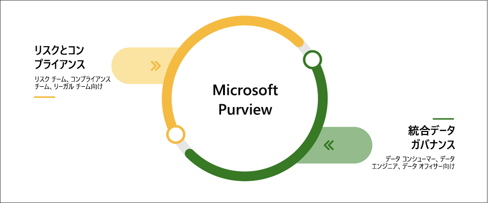 Microsoft Purview の主要な領域を示す図。