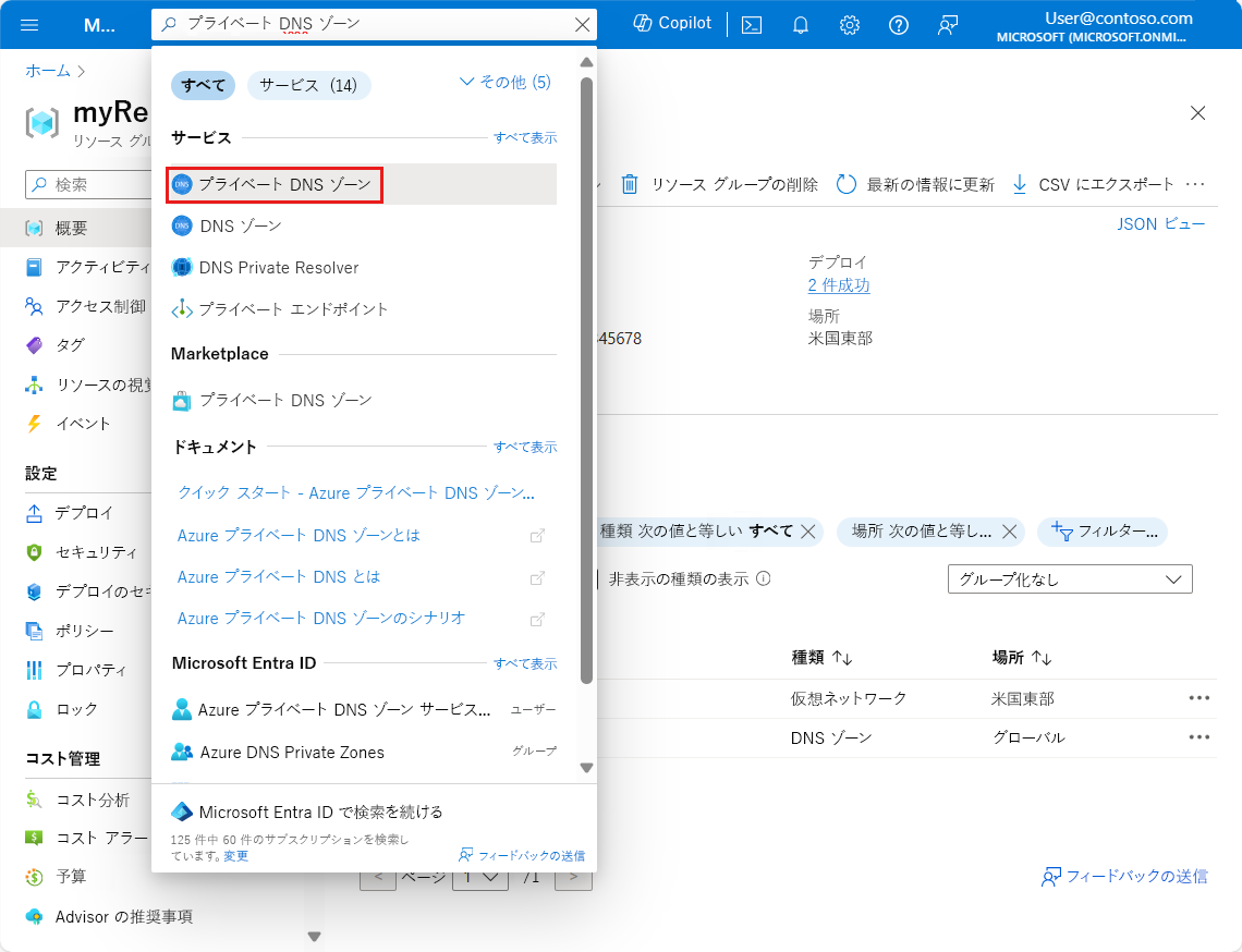 プライベート DNS ゾーン検索のスクリーンショット。