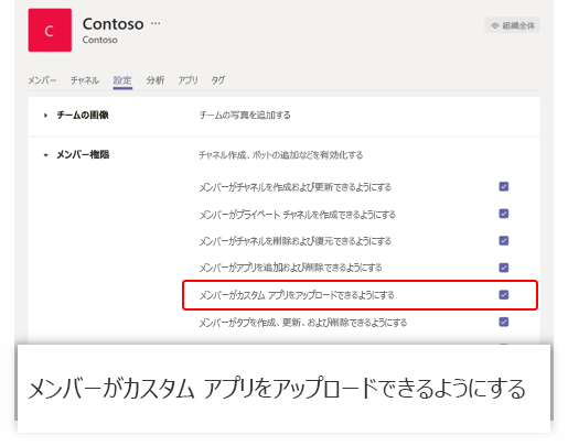 チーム カスタム アプリの設定を示すスクリーンショット。