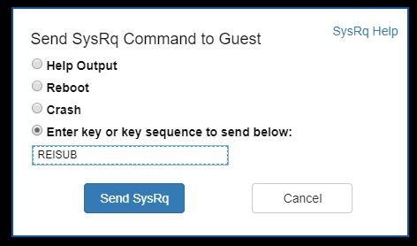 入力キー オプションが選択され、REISUB が下のフィールドに入力されている場合の [SysRq コマンドをゲストに送信] ダイアログ ボックスのスクリーンショット。