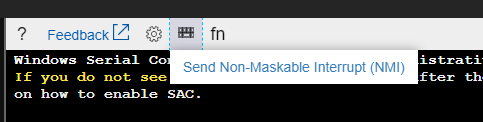 コマンド バーの [マスク不可能割り込み (NMI) の送信] ボタンのスクリーンショット。