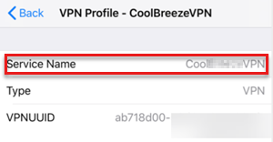 管理プロファイルの VPN プロファイルのサービス名を示すスクリーンショット。