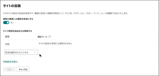 詳細設定パネルでの多言語設定のイメージ。